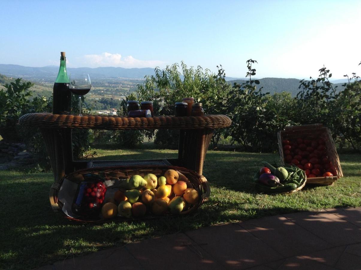 Villaspino Capolona Екстер'єр фото