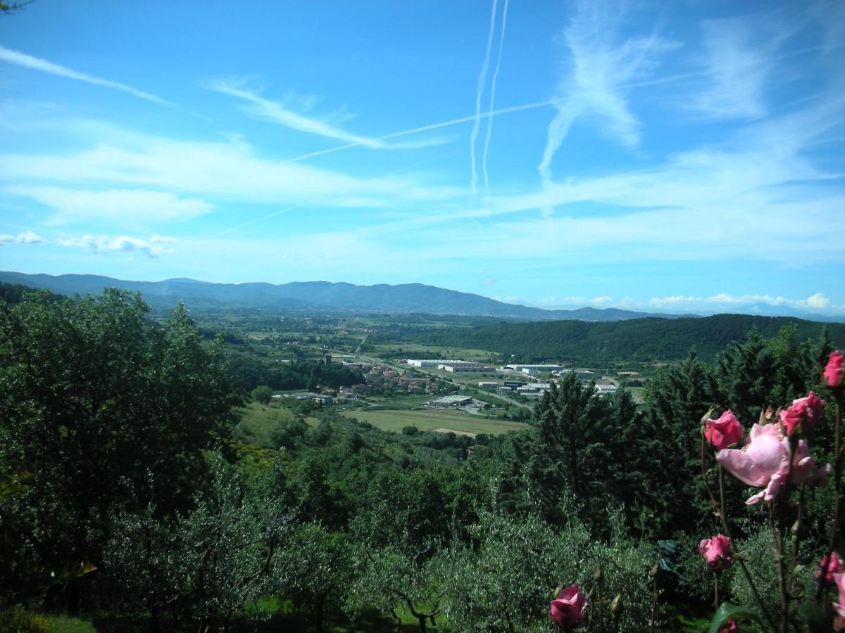 Villaspino Capolona Екстер'єр фото