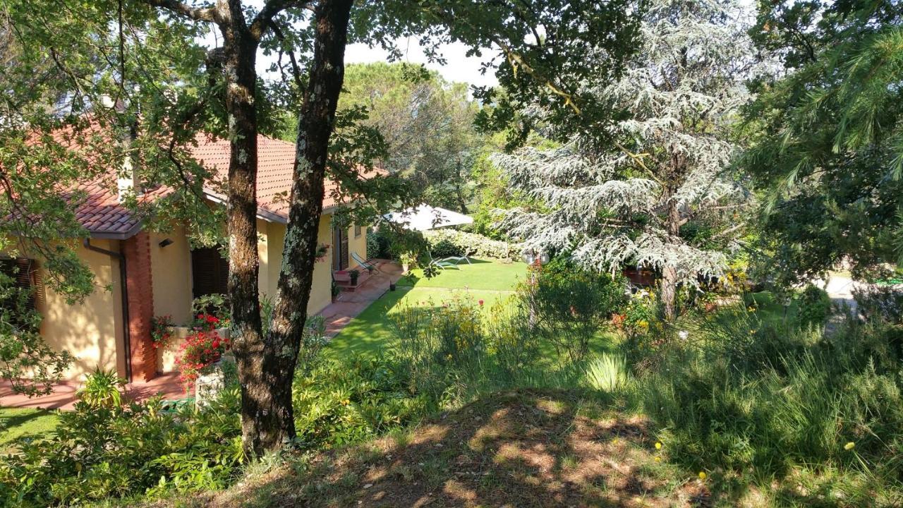 Villaspino Capolona Екстер'єр фото