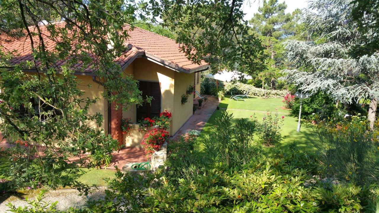 Villaspino Capolona Екстер'єр фото