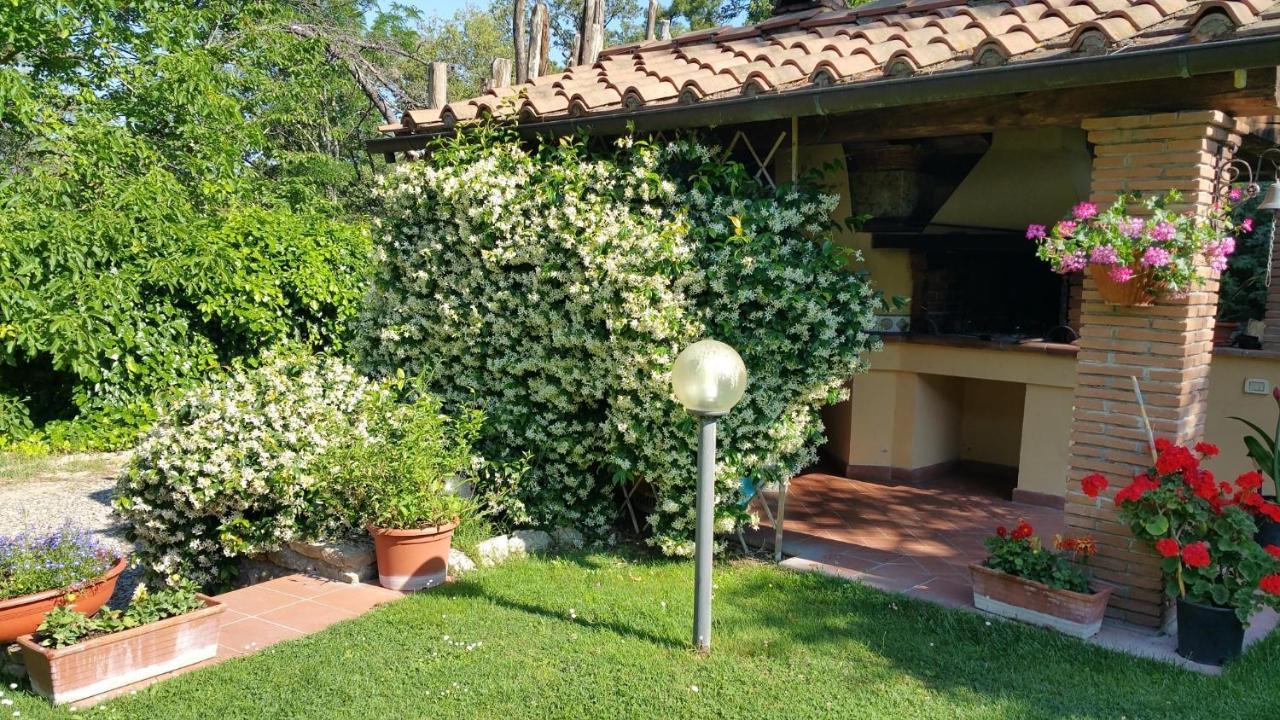 Villaspino Capolona Екстер'єр фото