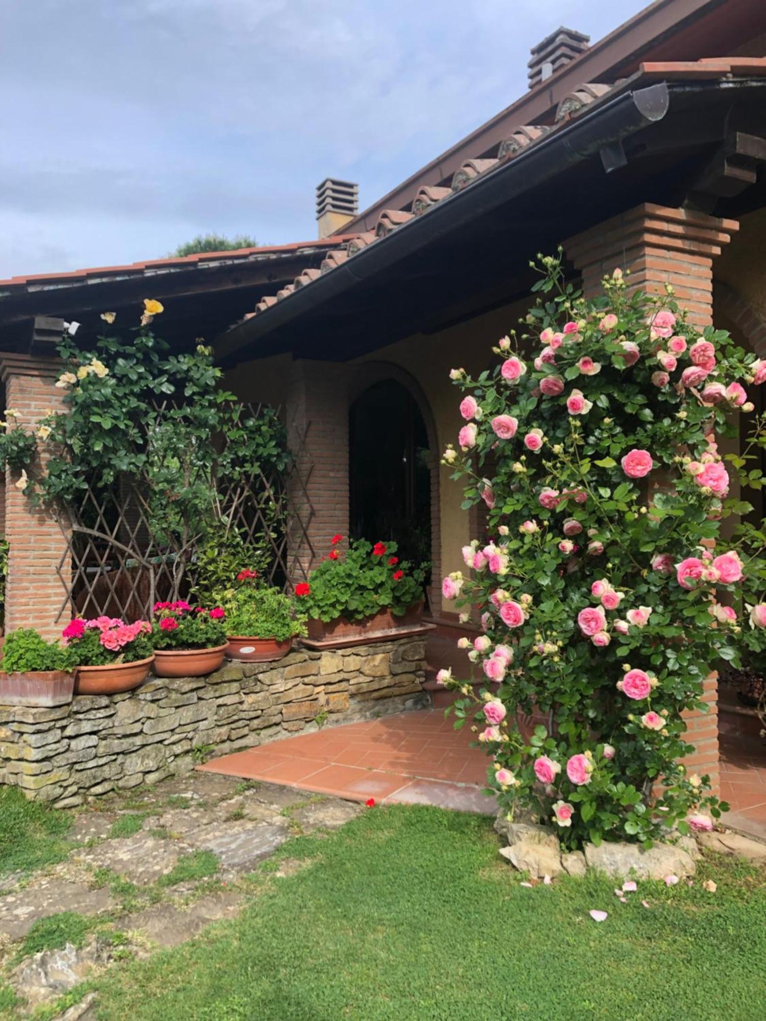 Villaspino Capolona Екстер'єр фото